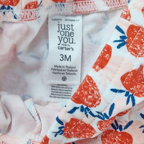 Carter’s Girls 3M Clothing Bundle 10 Pieces Adorable Mix - Picture 13 of 13